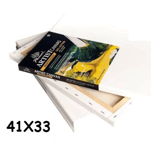 LIENZO PHOENIX PROFESSIONAL 6-F 41X33