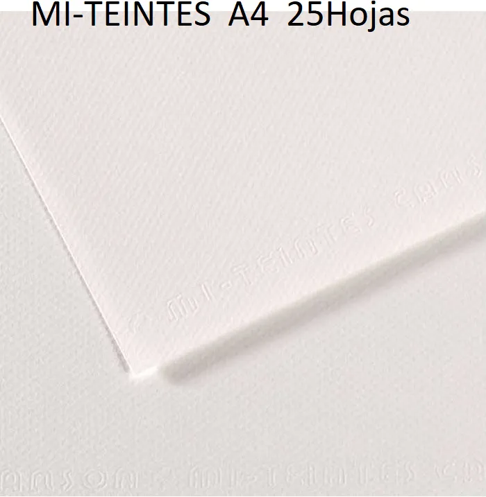 CARTULINA  A4 MI-TEINTES BLANCO 25 HOJAS Nº335