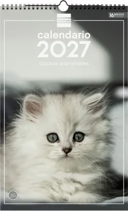 CALENDARIO PARED ESCRIBIR 25X40 2027 GATITOS