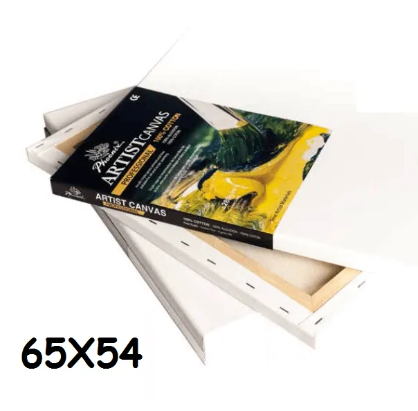 LIENZO PHOENIX PROFESSIONAL 15-F 65X54
