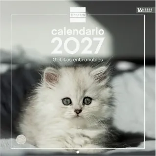 CALENDARIO PARED ESCRIBIR 30x30 GATITOS 2027