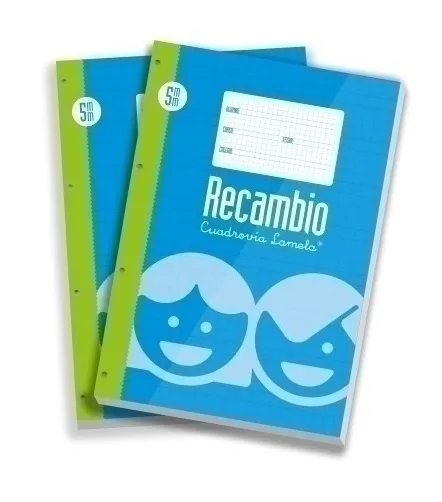 RECAMBIO LAMELA FOLIO 100H 5MM