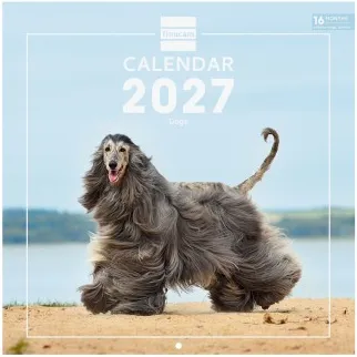 CALENDARIO PARED 30X30 2027 DOGS INT