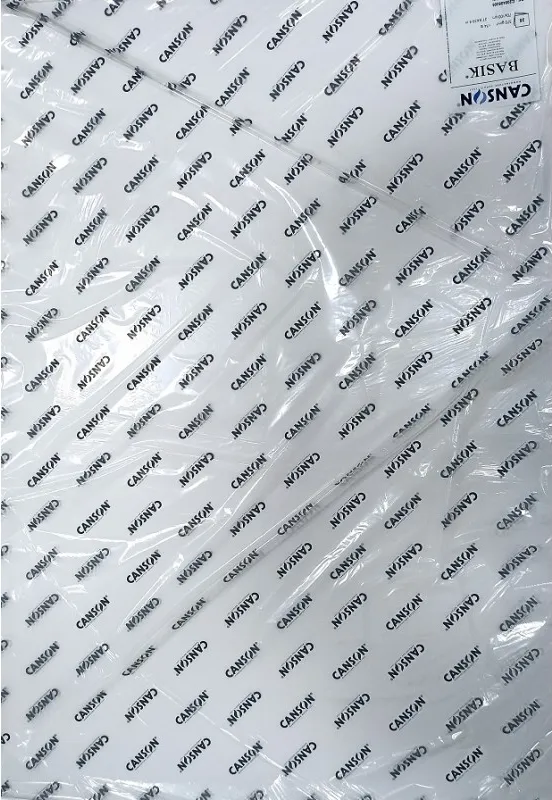 LÁMINAS BASIK CANSON 370GR  70X100CM