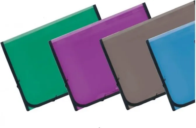 CLASIFICADOR PLUS PP A4 COLORES TRASLÚCIDOS