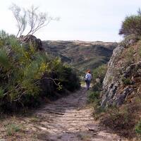 Camino de Altagracia 2005
