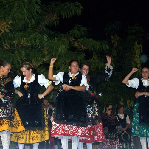 Festival folklorico de los pueblos del mundo 2006