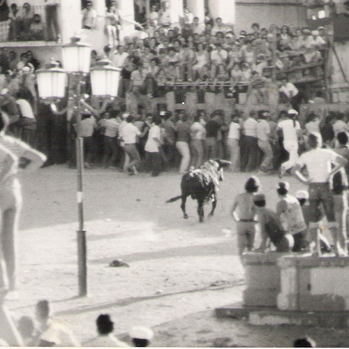 Toros 1979