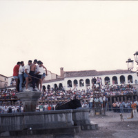 Toros 1989