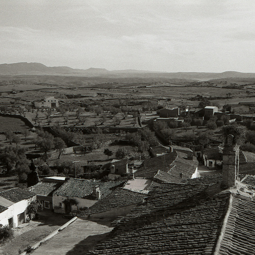 211-Desde-San-Pedro-Sierra-de-Cañaveral-1970-1985