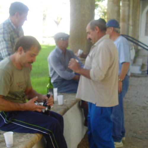 fiesta en Altagracia, de la Asociación Cultural Alconétar, 2006