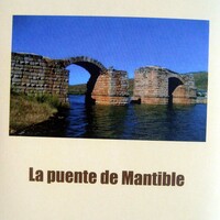Portada del libro - la puente mantible