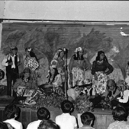 Los gitanos 1972