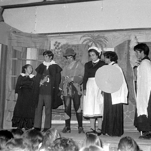 Comedias del Instituto 1973