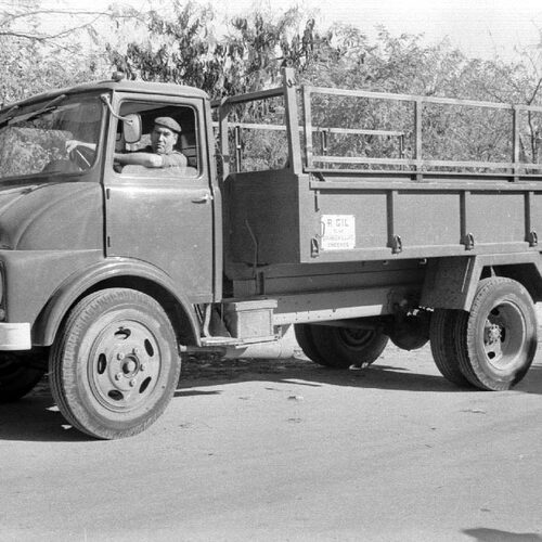 Camion 1966