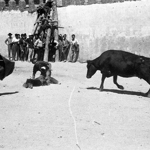 Caja1964-08.064_Toros