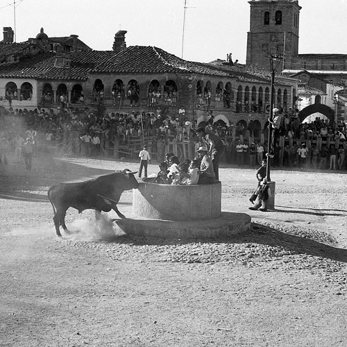 Caja1971-08.376