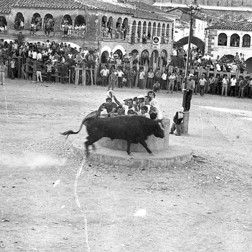 Caja1971-08.530