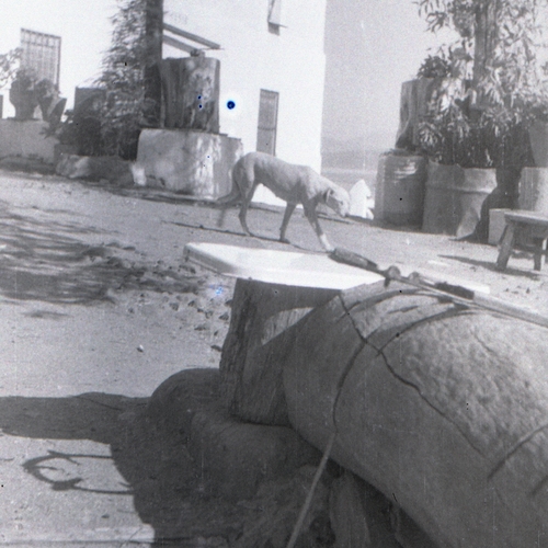 fotosC-11183