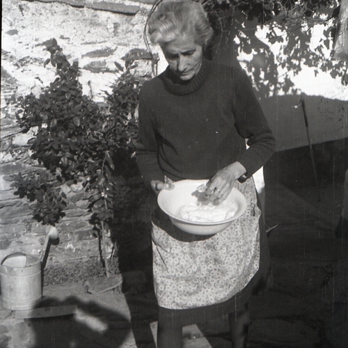 fotosC-11201