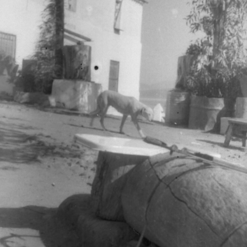 fotosC-3_996