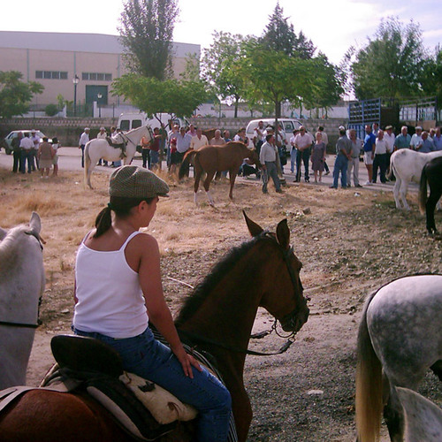 Momentos del Rodeo 2003