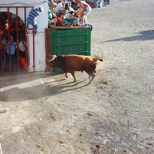 el que rompió la verja