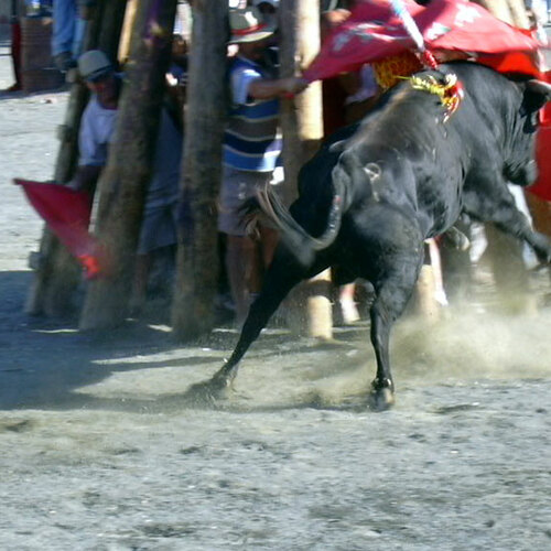 La Tronera 2004
