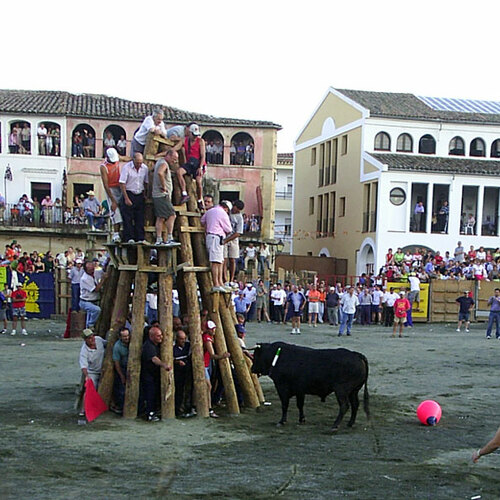 toros 2004