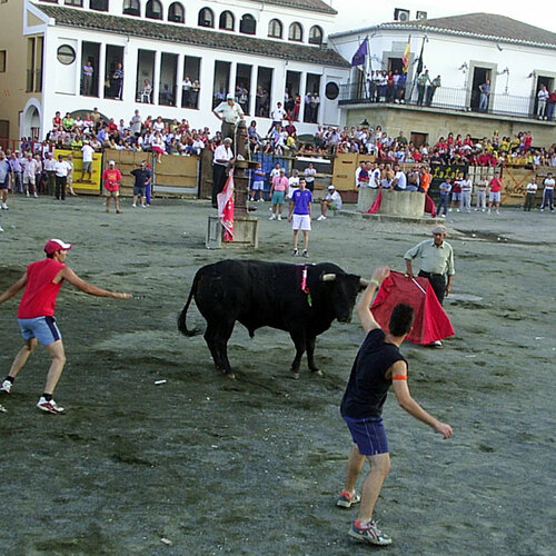 Un maletilla veterano 2004