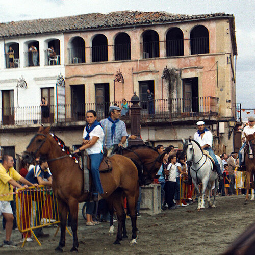 Dia del caballo 2004