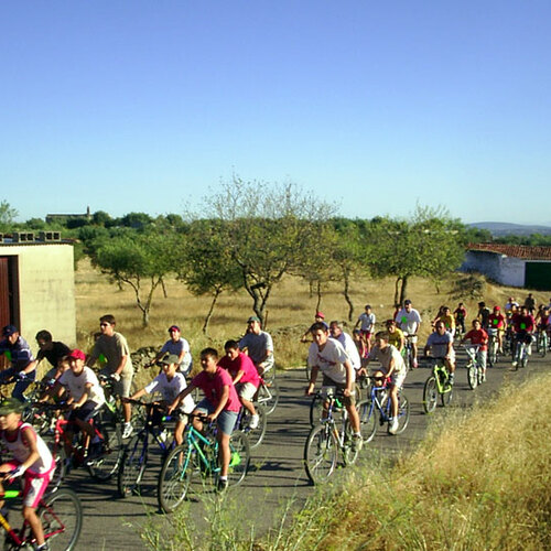 Un extenso peloton 2004