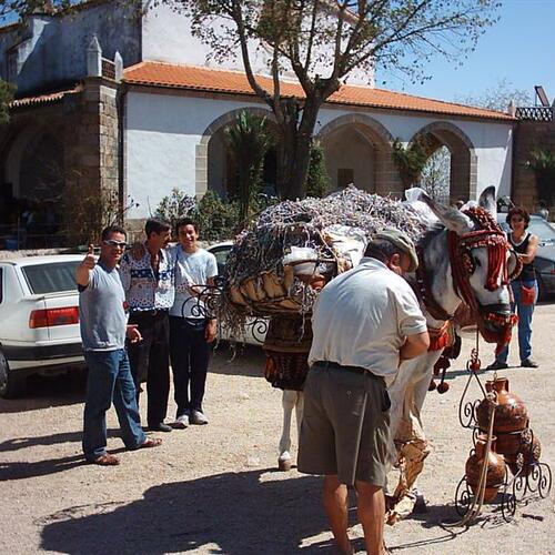 el burrinu y los botijus