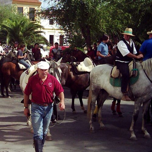 Arroyo de la Luz 2004