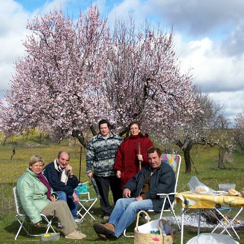 Fiesta de la flor del almendro 2006