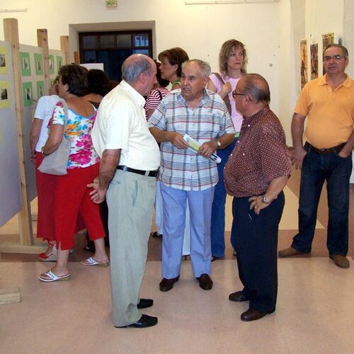 FotosToros_2419