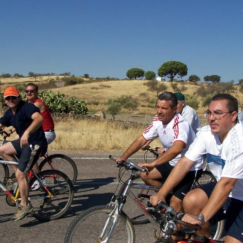 bici130806-011
