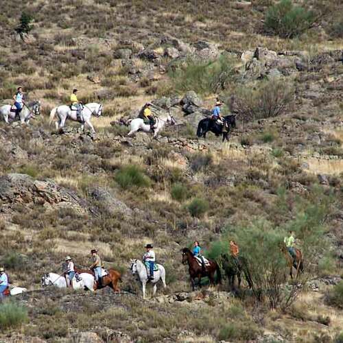 Romeria a la Ermita de Altagracia