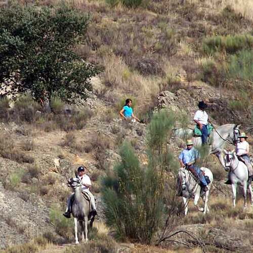 Romeria a la Ermita de Altagracia