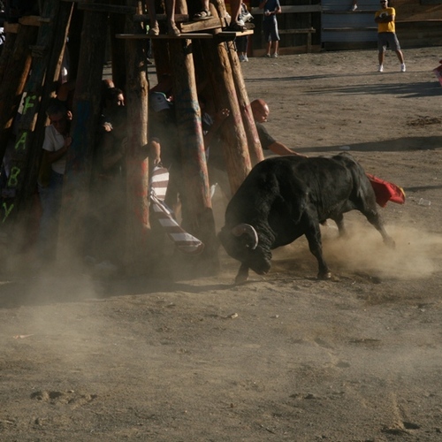 Toreandu en la tronera