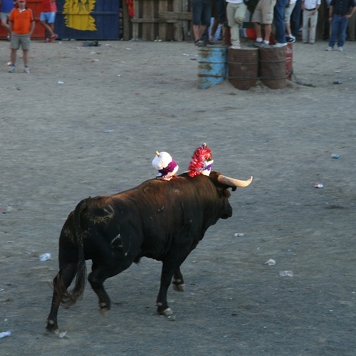 Banderillas