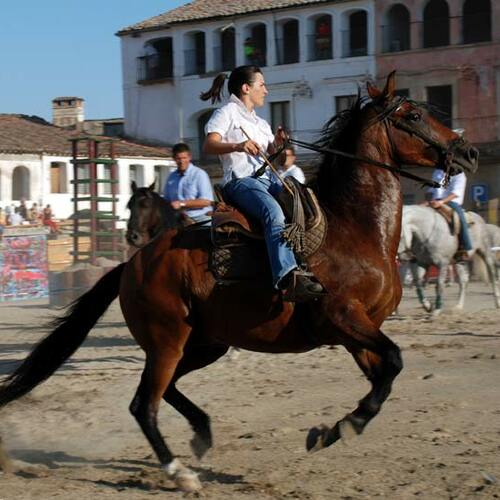 Dia del caballo 2007