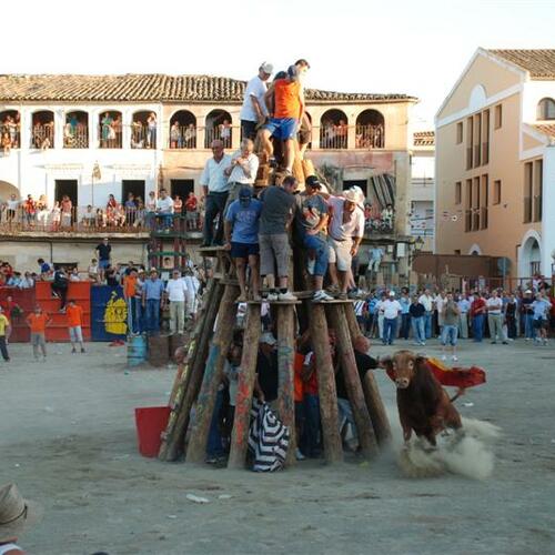 La tronera 2007 dia 14