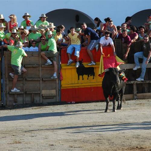 carrus de pal corral de comedias 2007