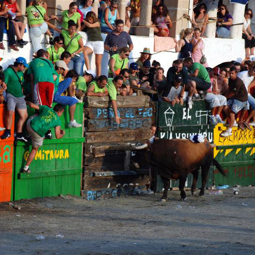 Carrus de las posas 2007 2