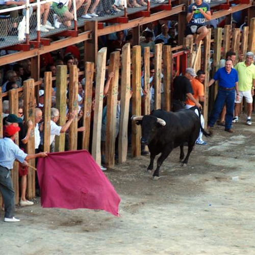 Las Talanqueras 2007