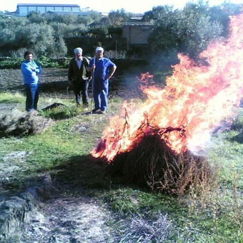 asandu el cochinu-