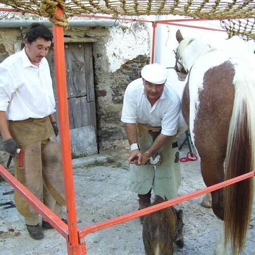 Jerrandu al caballu