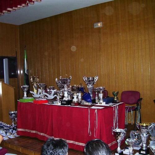 entrega de trofeos 08 001 medium