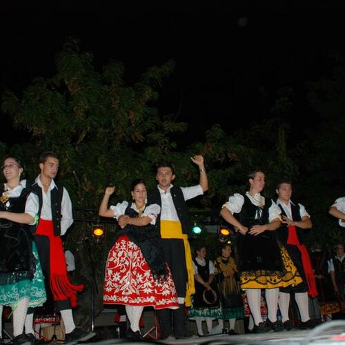 fiestastoros2008